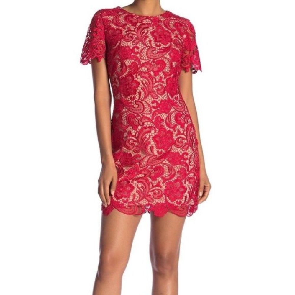 DRESS THE POPULATION Anna Crochet Lace Sheath in Red - size M #74